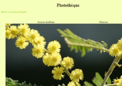 Photothèque