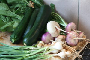 Lire la suite à propos de l’article Belle récolte au jardin