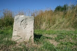 Lire la suite à propos de l’article Balade en VTT le long des rigoles de Favreuse