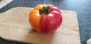 Lire la suite à propos de l’article Mes variétés de tomates