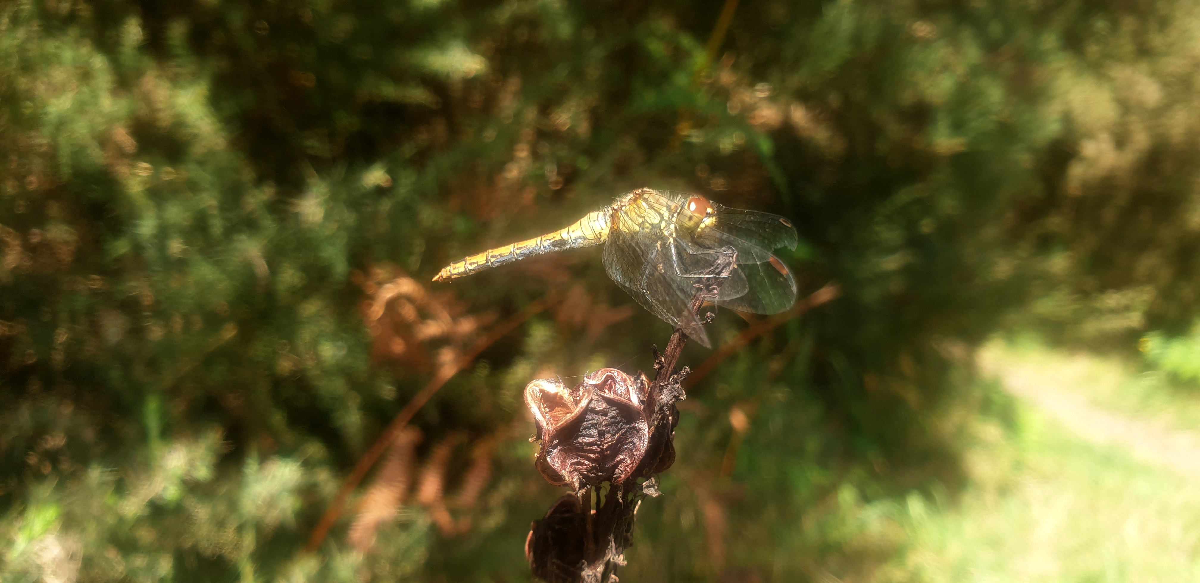 You are currently viewing Retrospective 2024