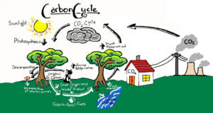 Lire la suite à propos de l’article 40 ans d’électricité : combien de CO2?