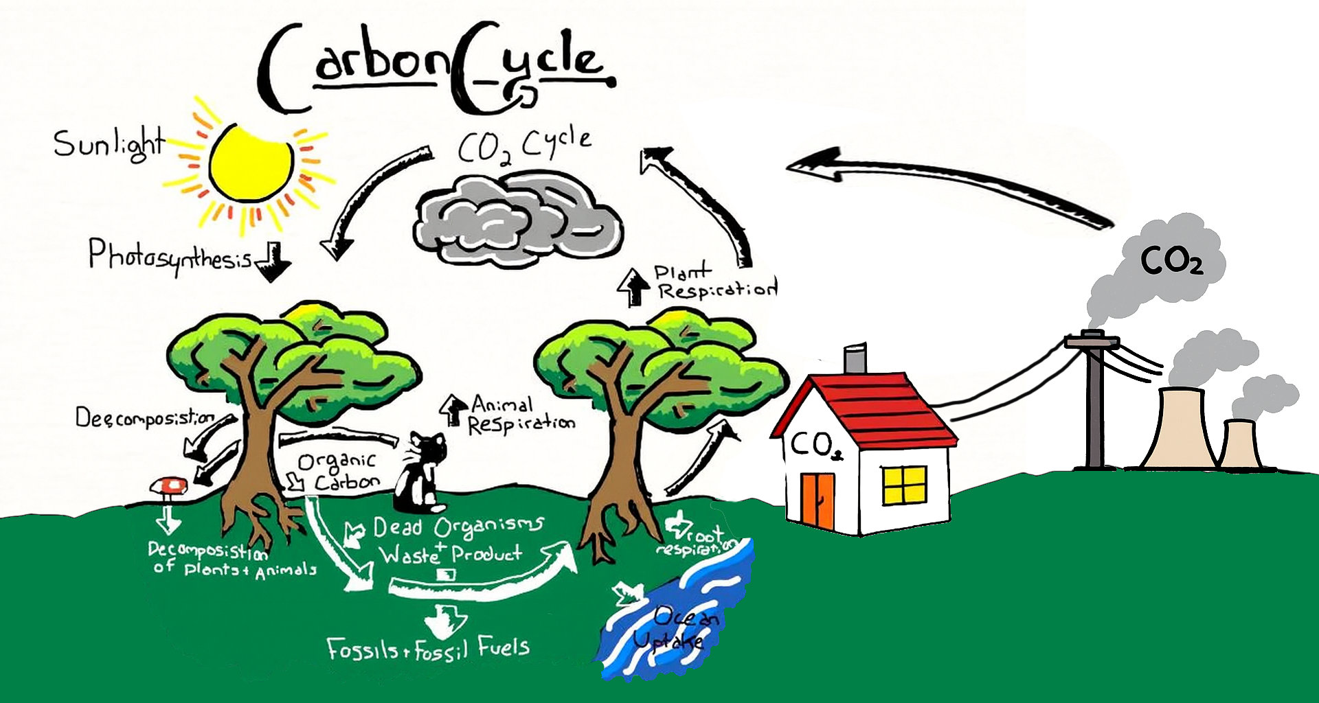 You are currently viewing 40 ans d’électricité : combien de CO2?
