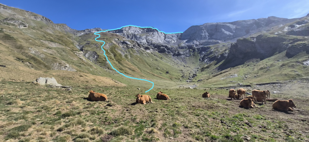 L’attribut alt de cette image est vide, son nom de fichier est image-17-1024x473.png.