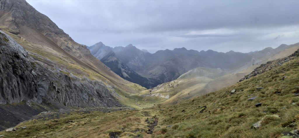 L’attribut alt de cette image est vide, son nom de fichier est image-57-1024x473.png.